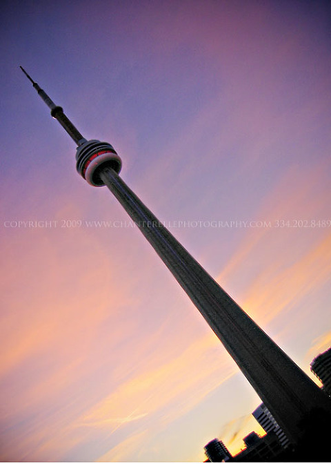 torontoblog4