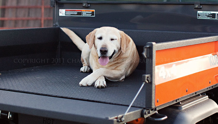 a family portrait session on a farm in tallassee alabama