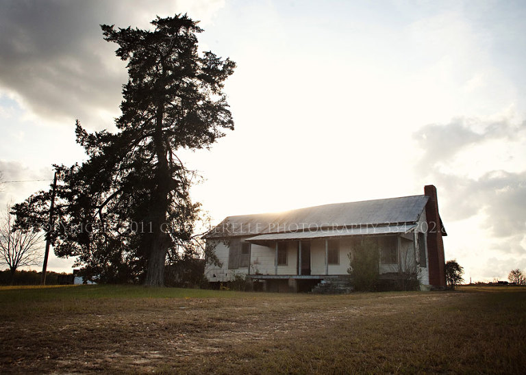 a family portrait session on a farm in tallassee alabama