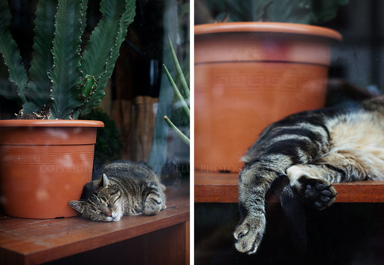 an american wedding photographer travels to live in paris