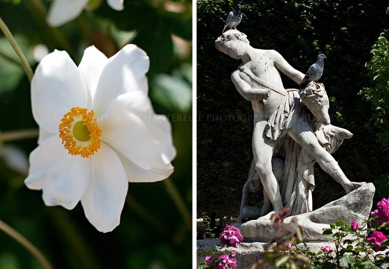 an american wedding photographer travels to live in a paris apartment