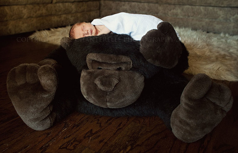 a newborn baby portrait session in wetumpka alabama