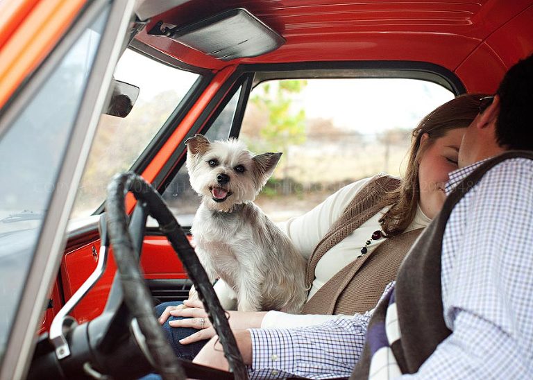 an engagement session with a dog and an old truck in downtown montgomery alabama