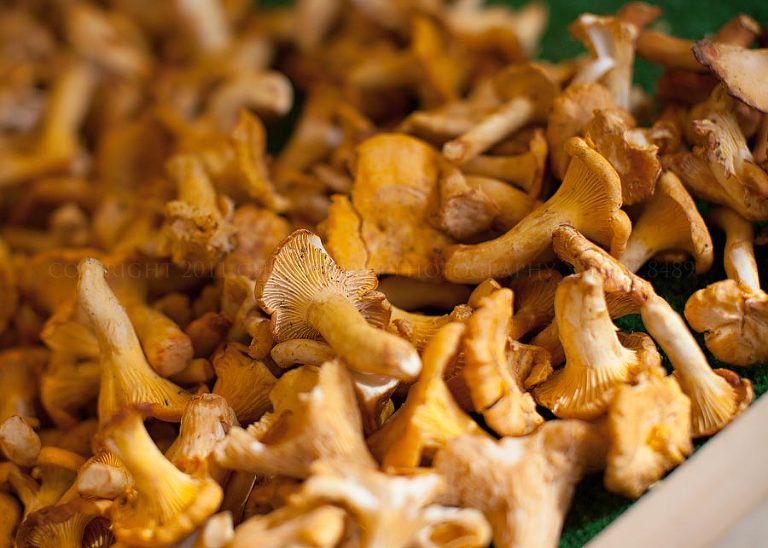 an american wedding photographer travels to paris to explore food