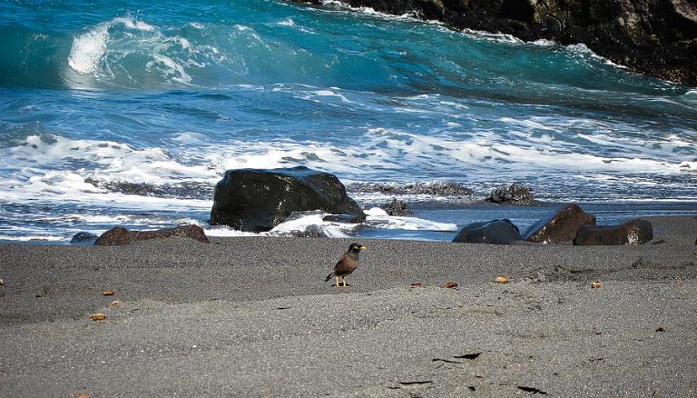a destination wedding photographer shoots the big island of hawaii