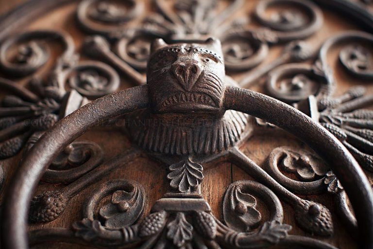 an american wedding photographer travels to paris