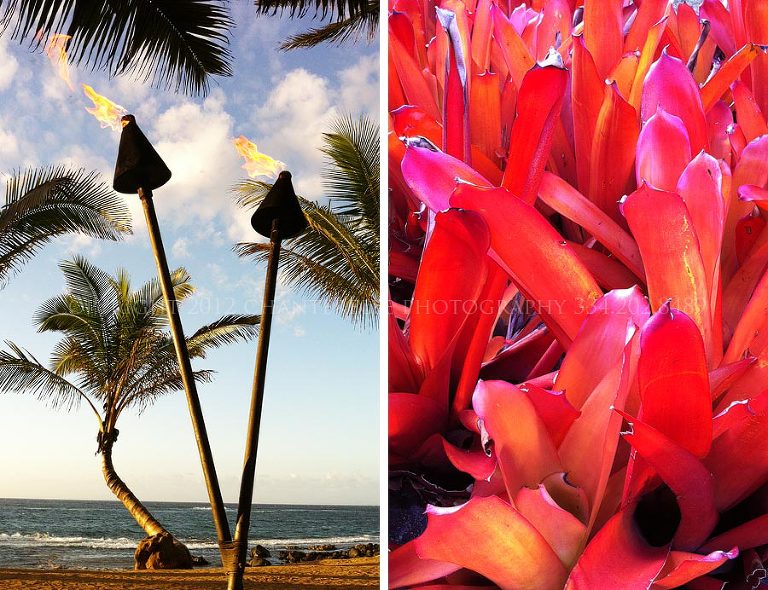 tiki torches outside mama's fish house in maui hawaii