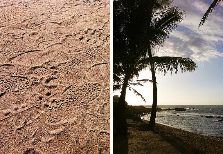 beach outside mama's fish house in paia maui hawaii