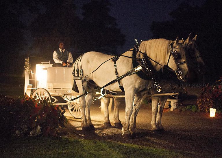 a horse and carriage at the oaks plantation in pike road alabama