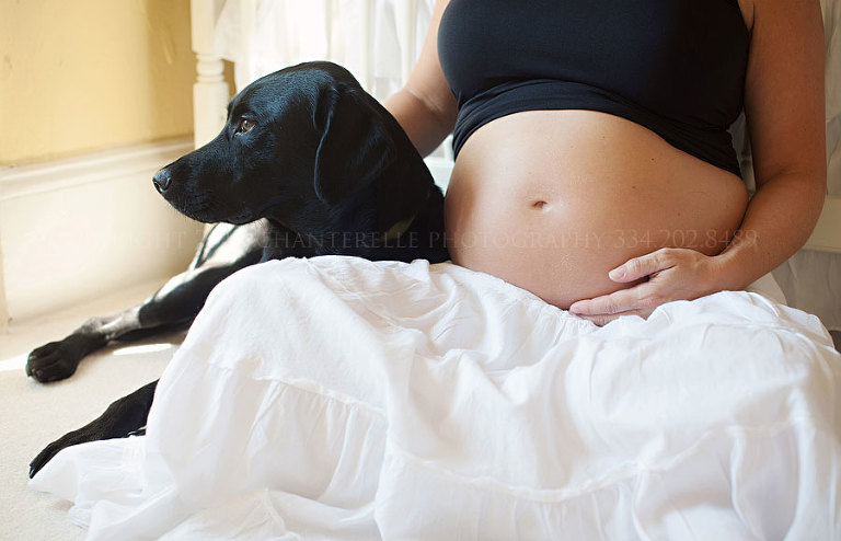 a dog in a maternity portrait shoot by chanterelle photography in montgomery alabama