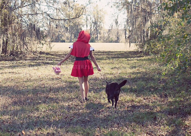 little red riding hood big bad wolf theme holiday card from chanterelle photography