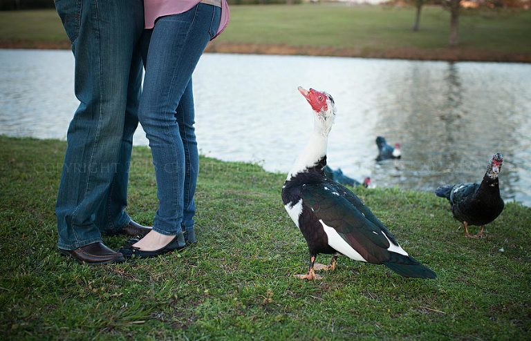 a duck at a montgomery alabama engagement session