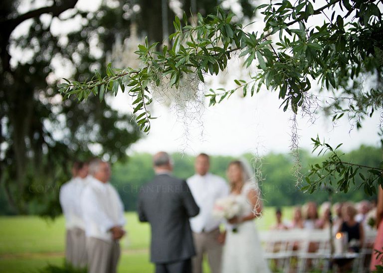 moss hanging from trees at an oaks plantation wedding