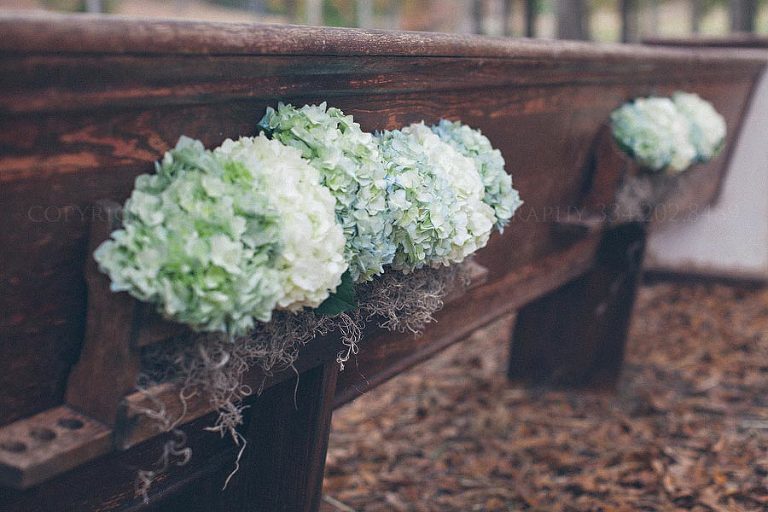 hydrangeas in back of pews at rustic wedding
