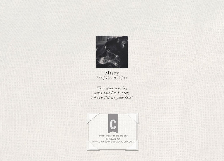 dog christmas card farewell