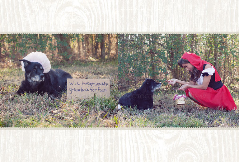 big bad wolf theme christmas card