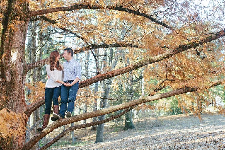 engagement picture in a tree in alabama