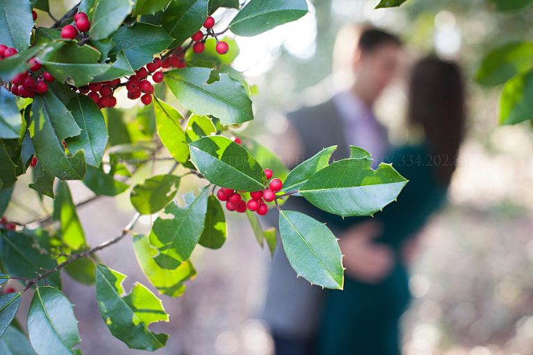 holly berries in engagement picture