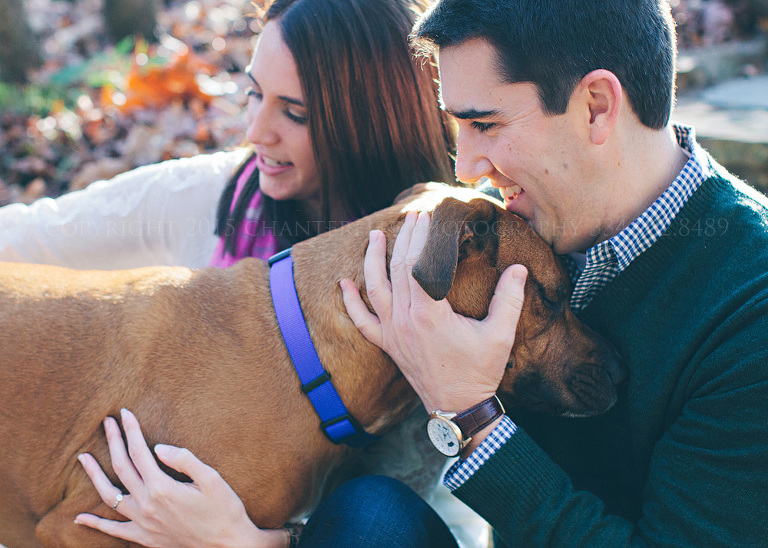 dogs in engagement pictures