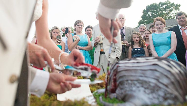 cutting the red velvet armadillo cake at montgomery wedding reception