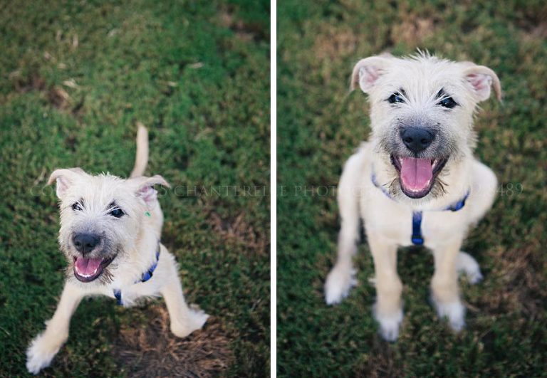 montgomery commercial photographer