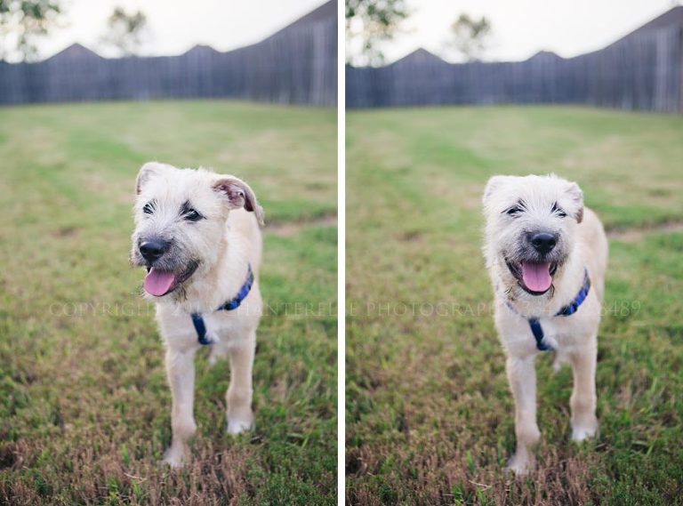 montgomery editorial photographer