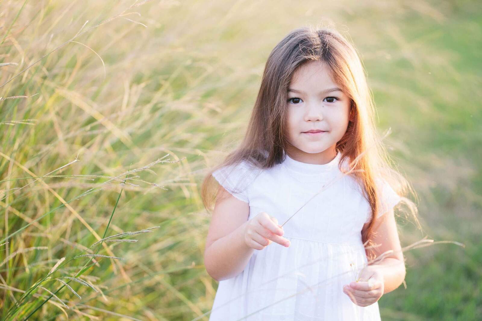 brunette toddler girl portrait during golden hour