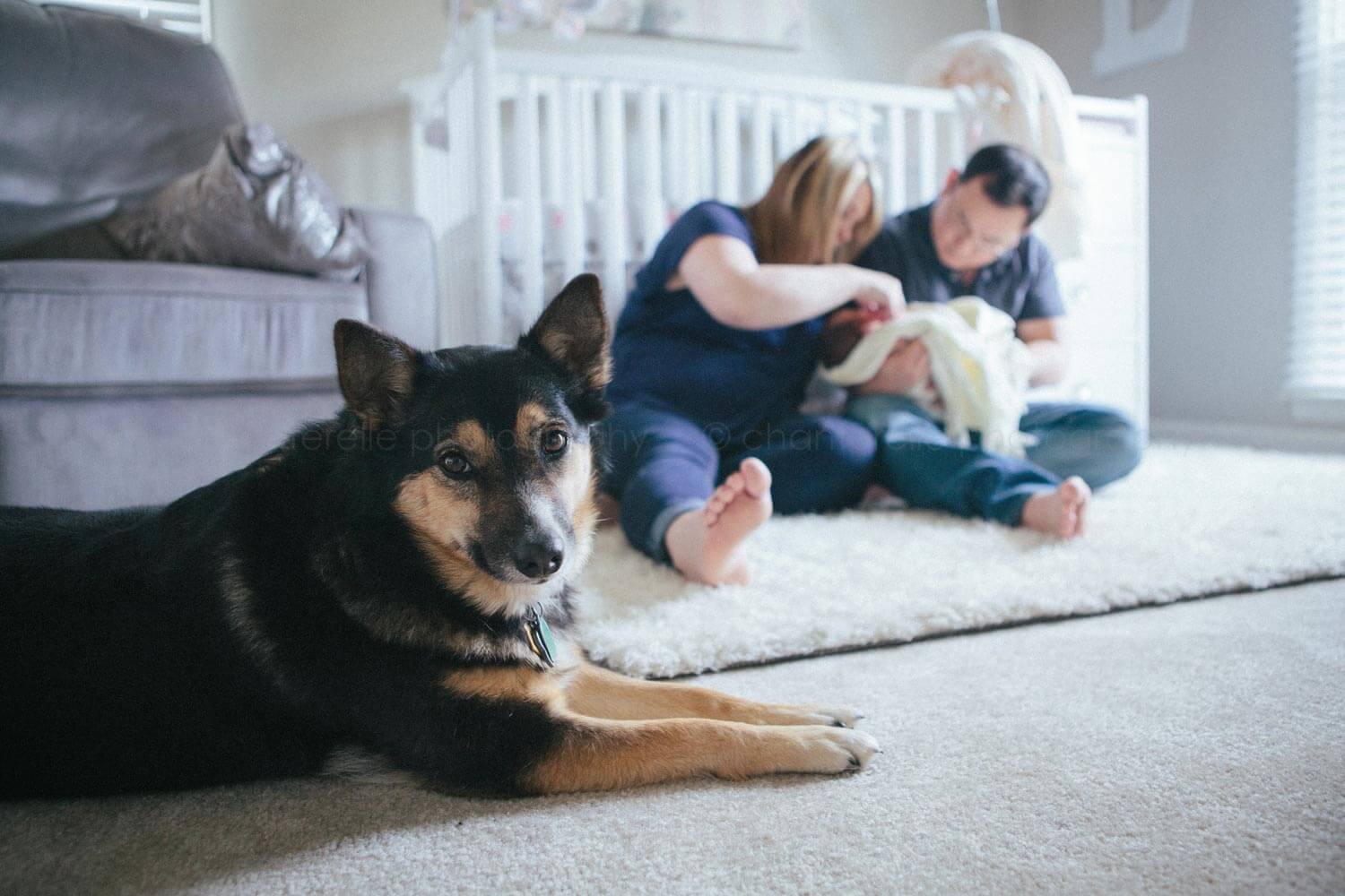 family dog and new parents in babys room