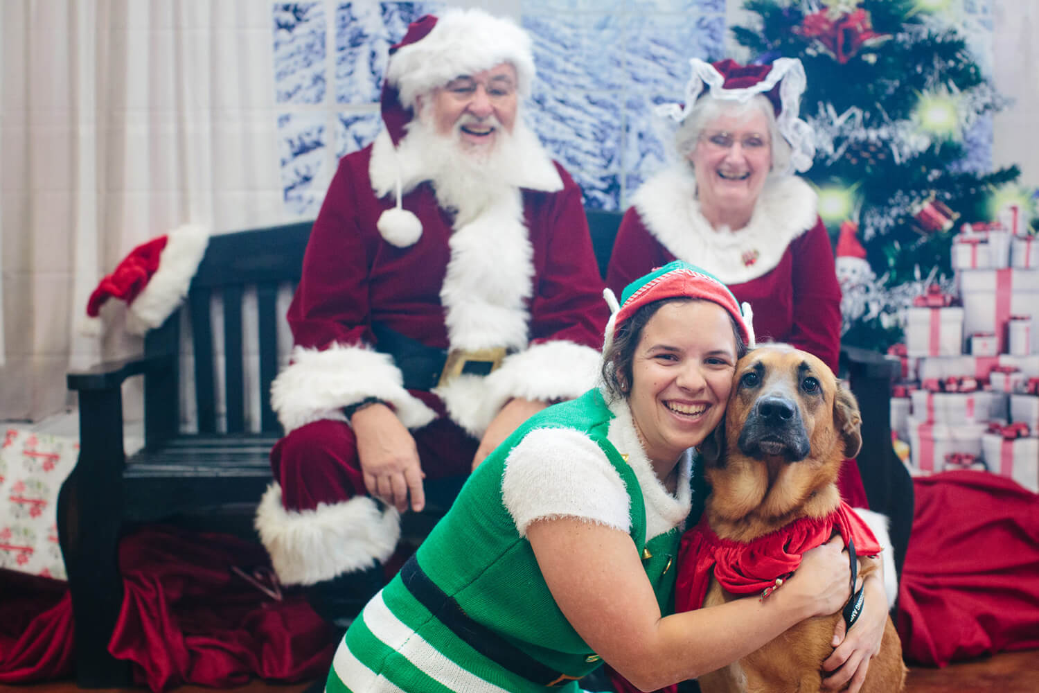 dog with elf santa and mrs claus