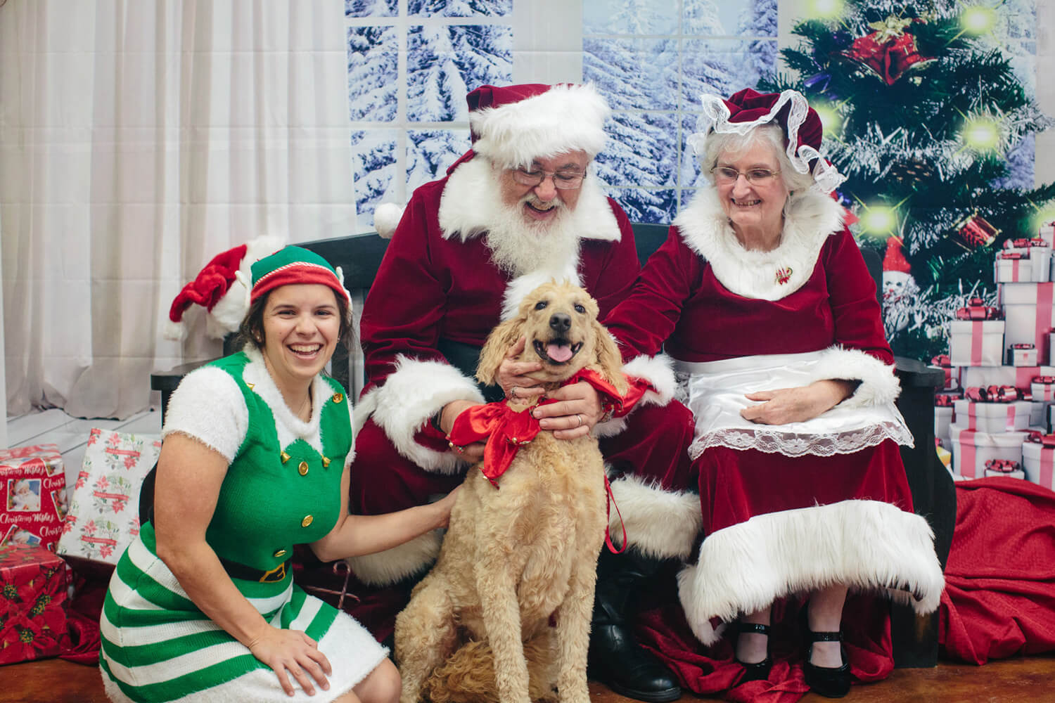poodle with santa in montgomery alabama