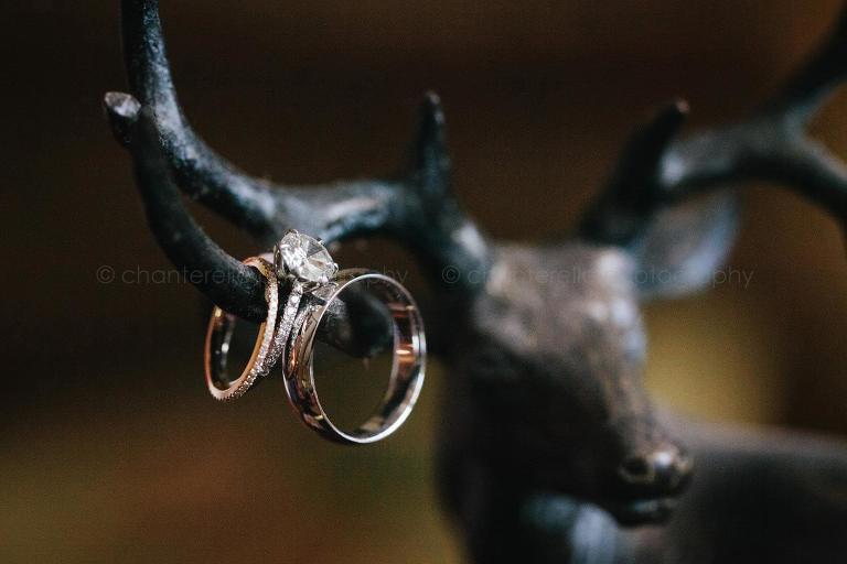 wedding rings on rustic deer antler lamp