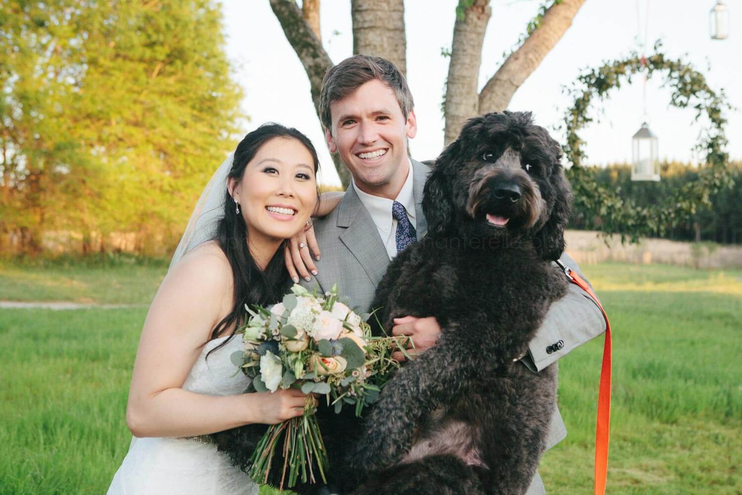 bride and groom holding goldendoodle dog