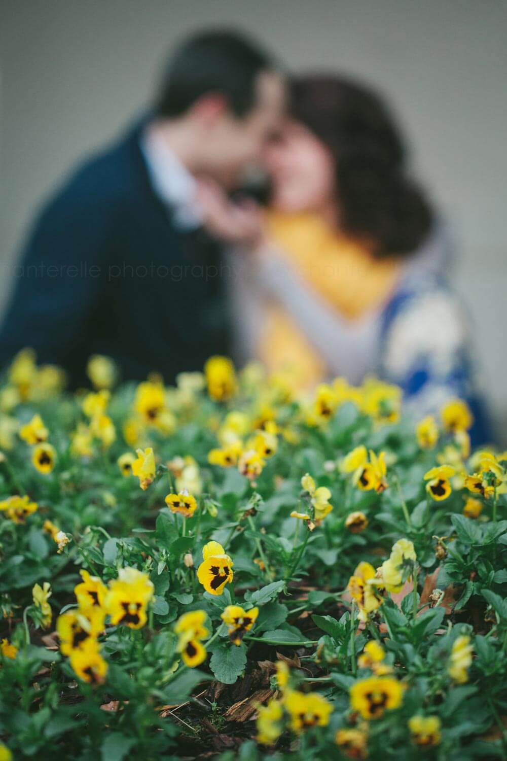 engagement pictures with yellow flowers alabama