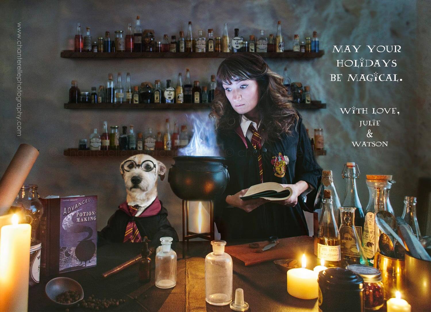 harry potter themed christmas holiday card from chanterelle photography