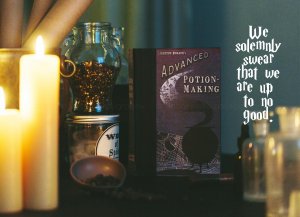 chanterelle photography magical holiday card with harry potter potions theme