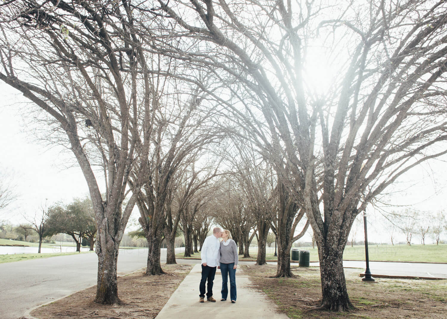 engagement picture with bare trees at blount cultural park