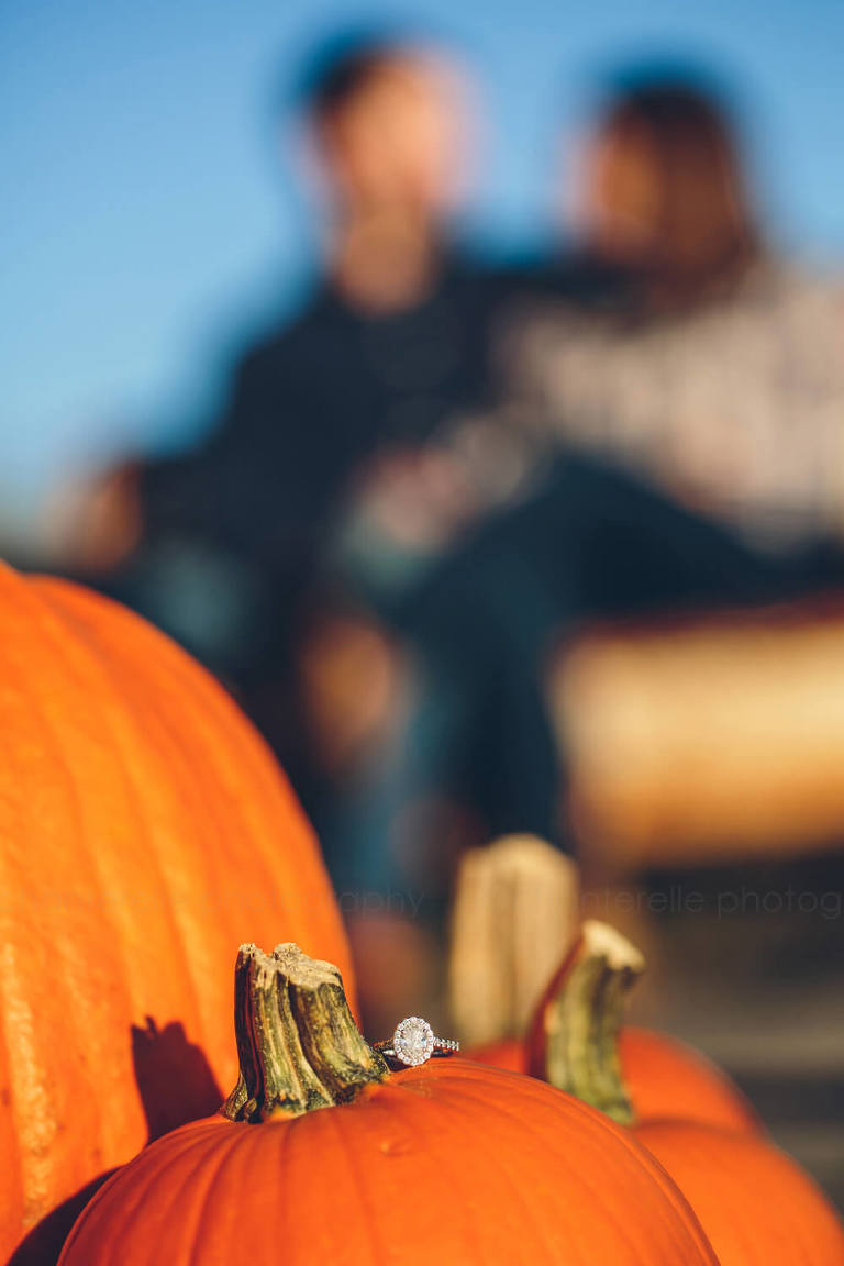 pumpkin fall themed engagement pictures