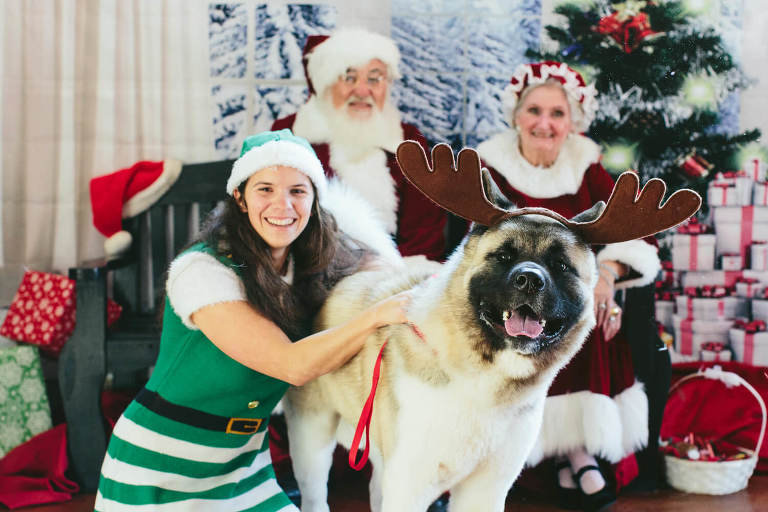 big dog wearing antlers with santa
