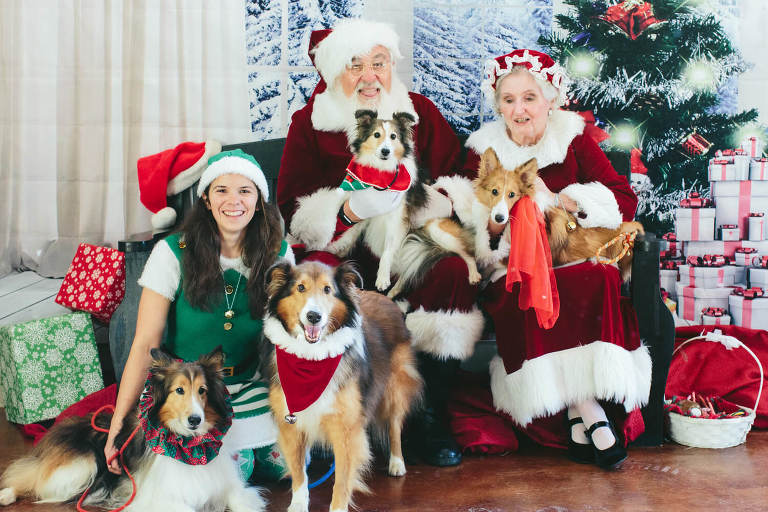 family of shelties with santa and mrs claus