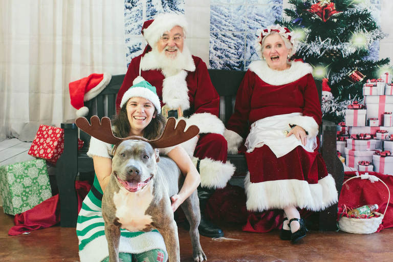pit bull wearing antlers with santa and mrs claus