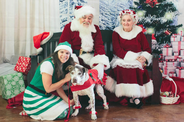 dog wearing dress with santa