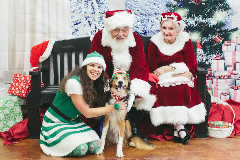 smiling dog with santa paws