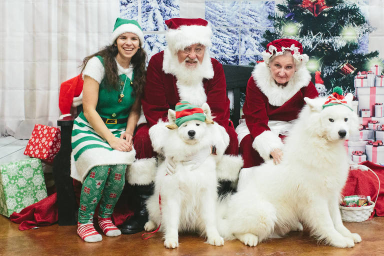 two samoyeds getting picture taken with santa