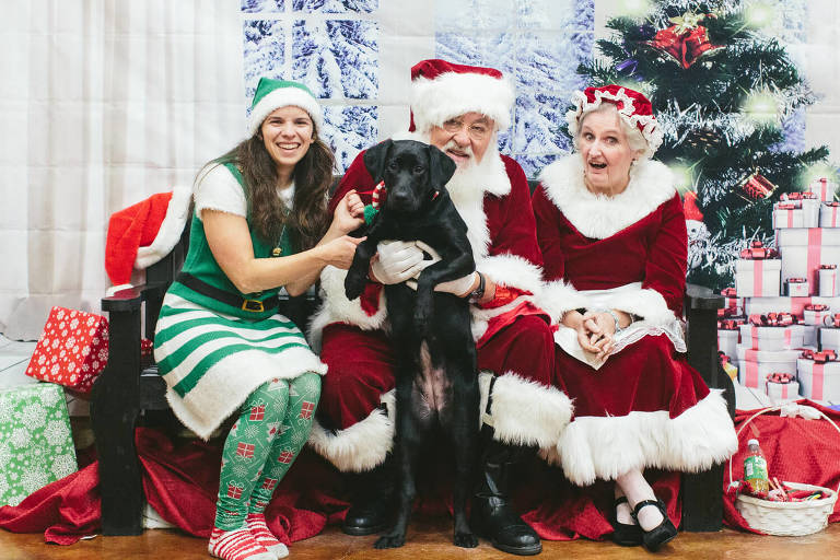 black lab with santa and mrs claus