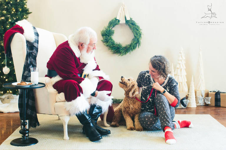 goldendoodle dog with santa