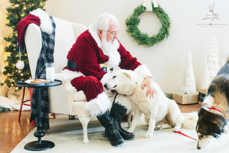 dog leaning head on santa