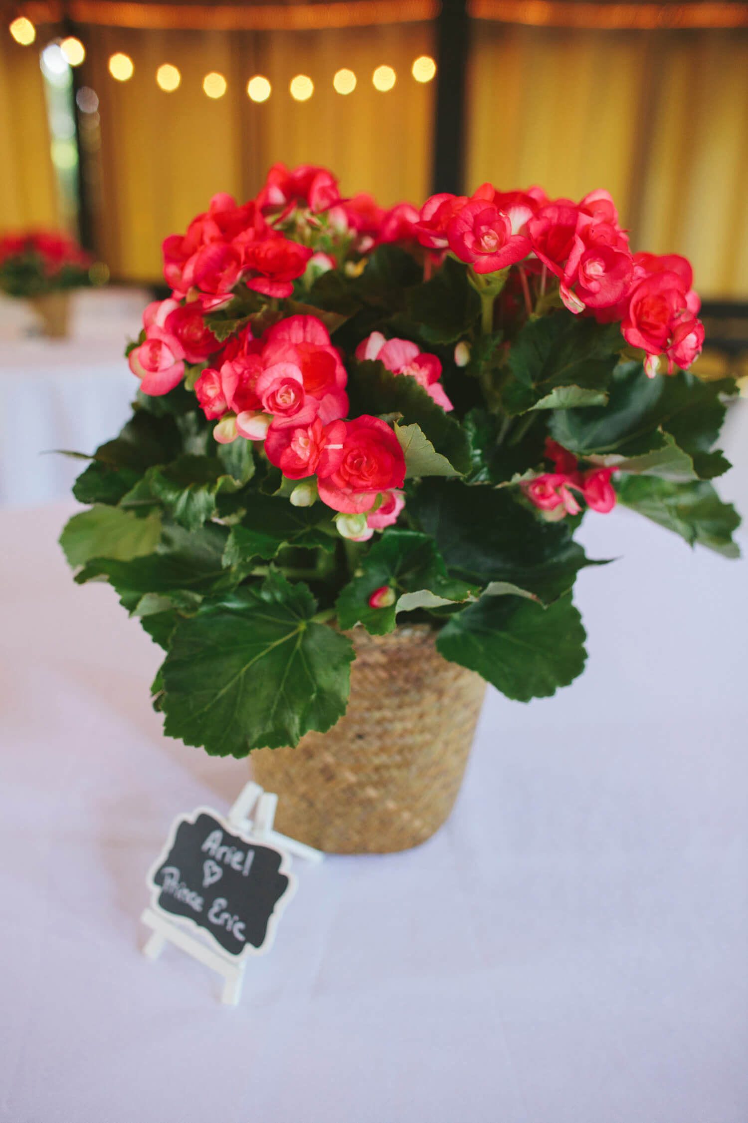 begonias at southern outdoor wedding reception