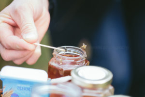 bee during honey tasting at north carolina state university