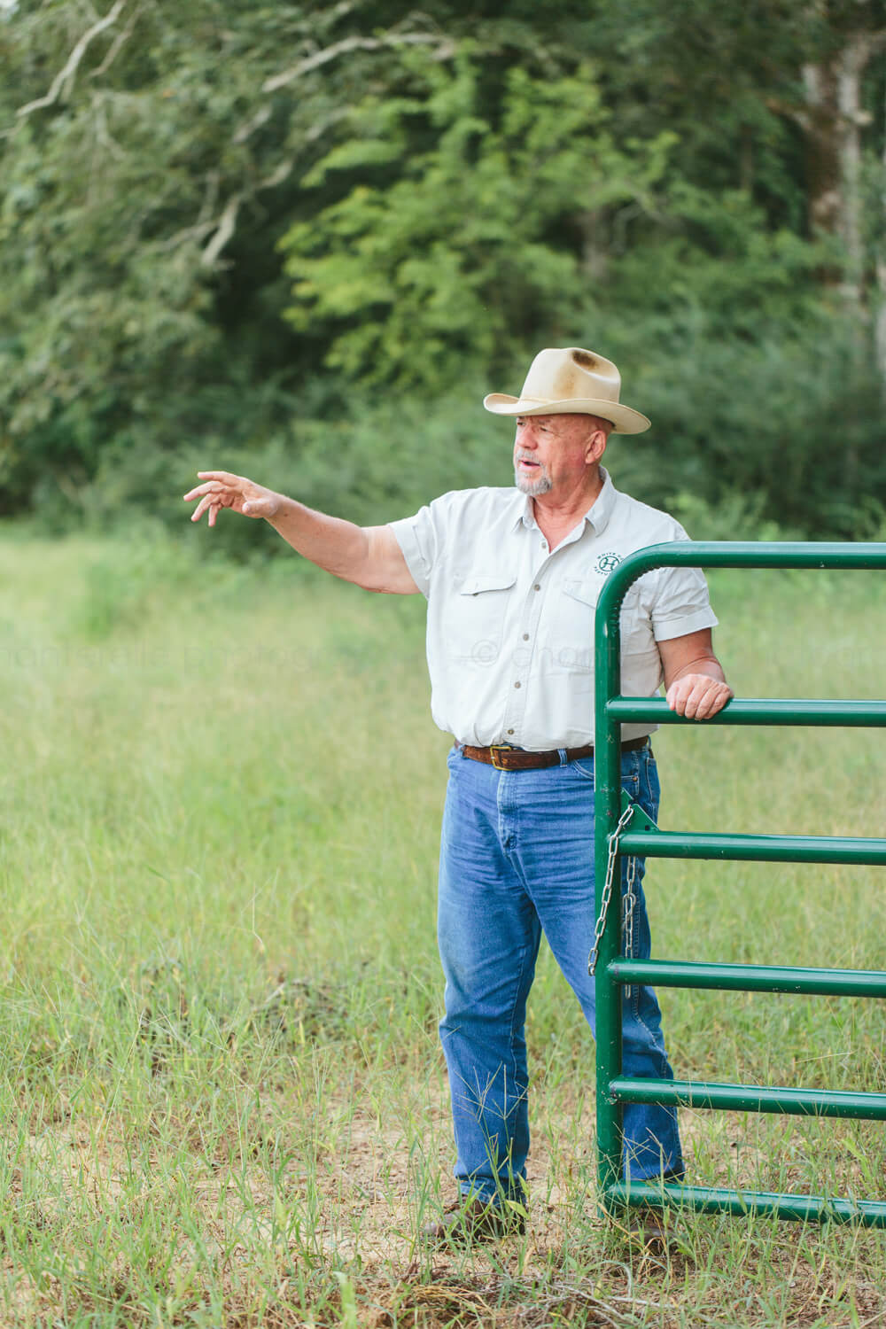 will harris showing white oak pastures