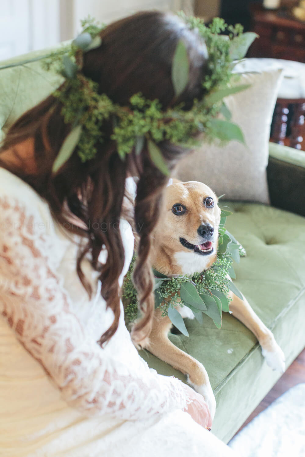 bride and her dog before the wedding